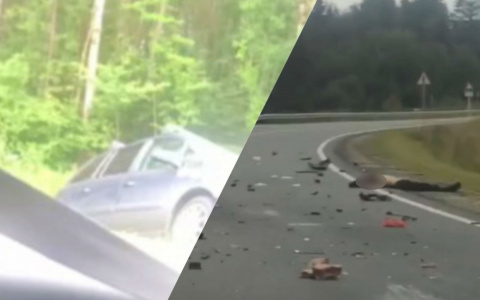 Тела разбросало по дороге: жуткое ДТП произошло под Ярославлем