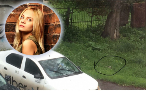 "Псы рвали тело": в мэрии ответили ярославне, сообщившей об опасных животных