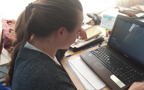 Закон об удаленке приняла Госдума: вводят новые требования