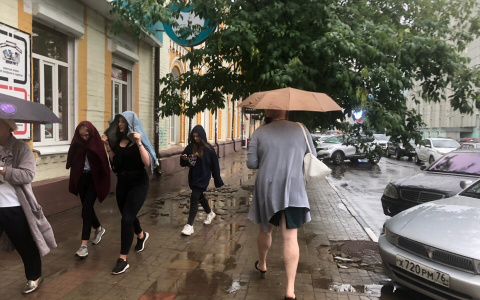 Холода в начале августа предрекли синоптики ярославцам