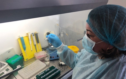 Ученые: появились "человеческие" комары, ориентированные на людей