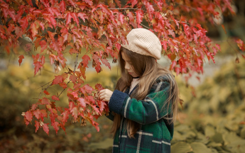 Аномально теплая осень ждет ярославцев: что пообещали