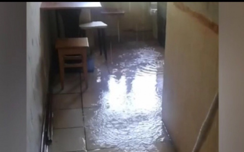 Ливень из кипятка: в центре Ярославля из-за пробитой крыши затопило жильцов. Видео
