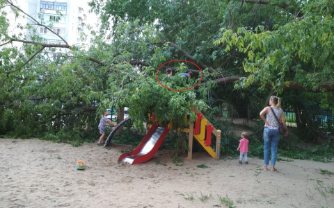 Шторм движется на Ярославль: экстренное предупреждение от МЧС