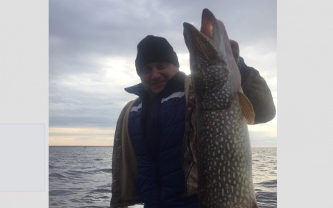 "Вот это крокодил": под Ярославлем из реки вытащили чудовище ростом с человека