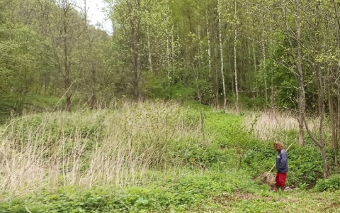 Новой пандемии ждать от растений: предостережение ученого