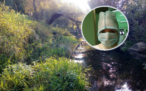 В поле полно: назвали растение-убийцу рака