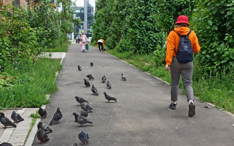О ненормальной погоде сообщили синоптики: что будет в конце недели