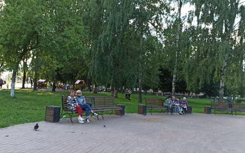 Чуть выше 10 градусов: в Ярославле резко похолодает