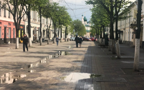 Свисают отовсюду: что возмутило туриста в Ярославле