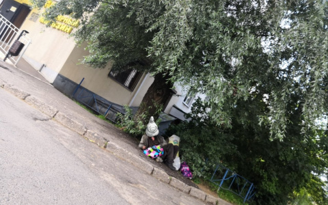 "Может пнуть и кинуть камень": в сети обсуждают поведение странного ярославца