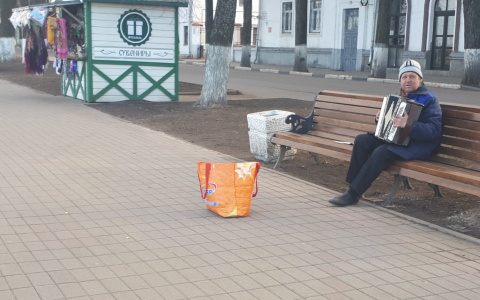 Как будет выглядеть набережная в Ярославле, показали проектировщики