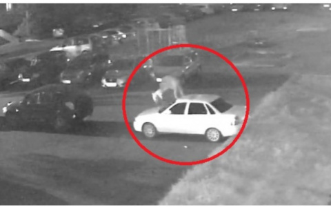 Скакал по машинам и выбивал стекла: под Ярославлем поймали автовандала