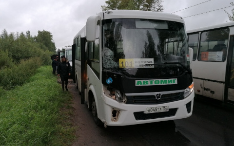 Рейсовый автобус сбил  велосипедиста: подробности трагедии