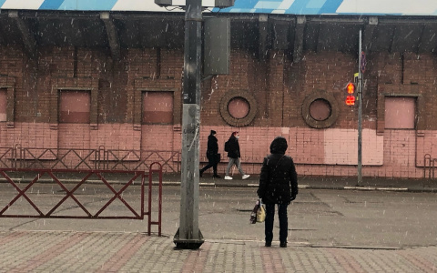 Снег надвигается на Ярославль: ошеломительный прогноз дали синоптики