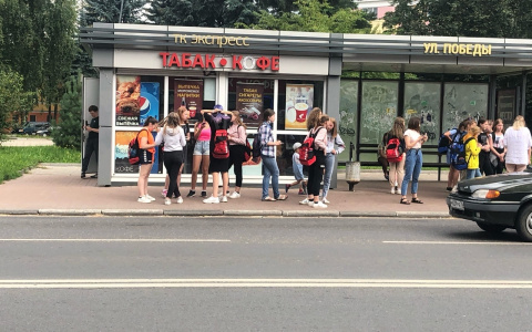 Учебный год до 20 сентября и школьная линейка на удаленке: о правде и фейках сообщили чиновники