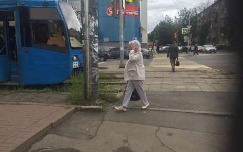 Такого бабьего лета не было много лет: синоптики огорошили ярославцев