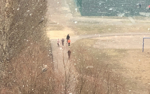 Морозы на 90 процентов: дали прогноз на зиму 2020-21