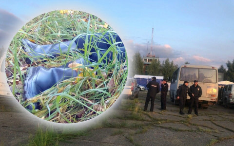 Из пробитой головы текла кровь: труп женщины нашли под Ярославлем