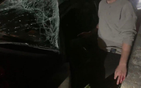 По рукам струилась кровь: молодые парни разбили «Мерседес» в Ярославле