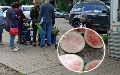 "Как на корм скоту": ярославцев возмутили арбузы в сетевых магазинах Ярославля