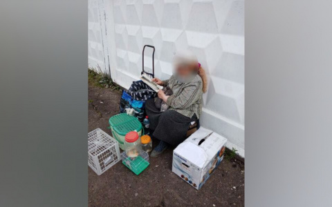 Бизнес на детях: в Ярославле отняли малышей у "коробочницы"