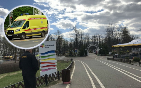 Закричал от боли: ребенок переломался на надувном батуте в Ярославле