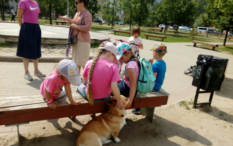 Комары беснуются: на редкость теплый сентябрь пообещали синоптики