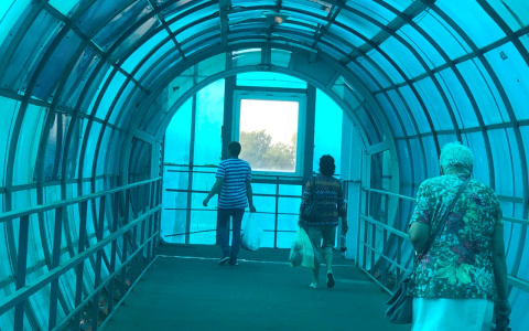 Лето будет еще долго: синоптики обнадежили ярославцев