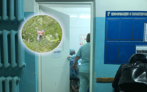 Ярославна умерла от бешенства: первые подробности