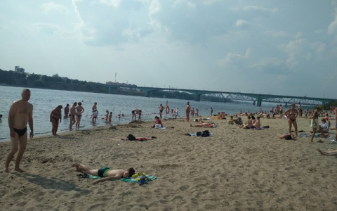 Под тридцать градусов на неделе: как долго простоит аномальная жара в Ярославле