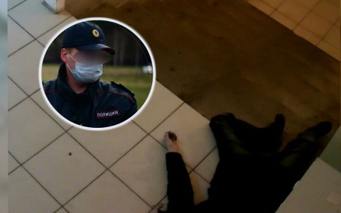 Убийца напал со спины: изрезанный труп нашли под Ярославлем