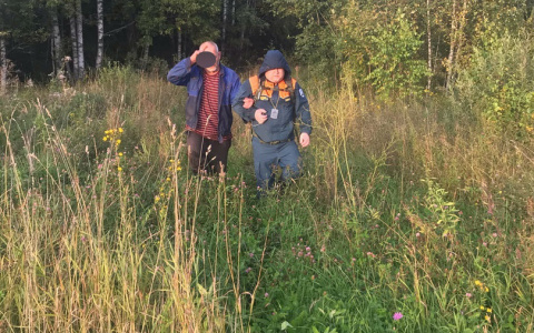 Больше суток в диком лесу: пропавшего мужчину нашли под Ярославлем