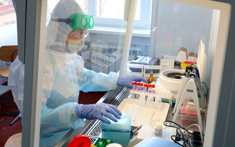 Один день все решит: Минздрав назвал дату прихода второй волны ковида