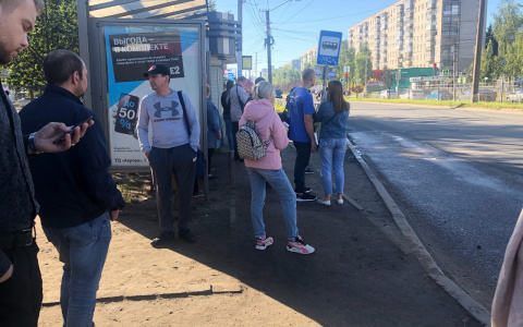 От 4 до 12 тысяч: новую выплату получат россияне