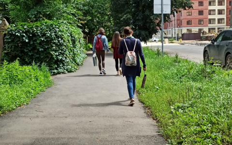 Когда придет бабье лето, рассказали синоптики