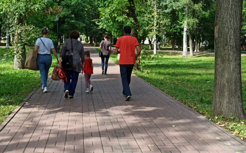 "Как мы без неё жили": ярославцы выбрали место, где установят стелу