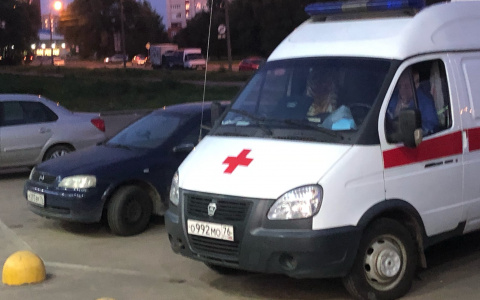 "Собака оторвала губы": пострадавшей девушке нужна помощь ярославцев