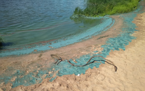 Почему реки в Ярославле стали синими, объяснили власти