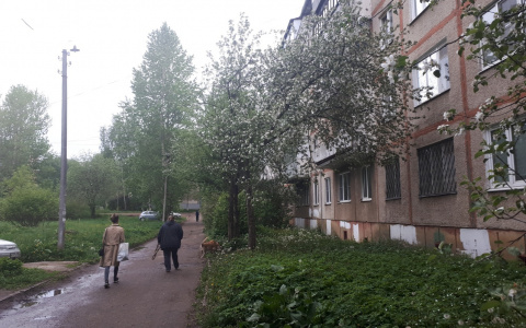 Обносившего квартиры серийного вора ярославцы заманили в западню