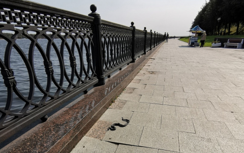 Ползла к людям по плитке: ярославцы сообщают о змеях на набережной