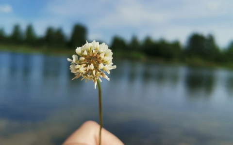 Этим летом ярославцы заменили пляжный отдых туризмом