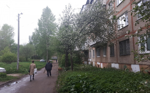 "Прождали целый день": как в Ярославле проверяют квартиры после взрыва