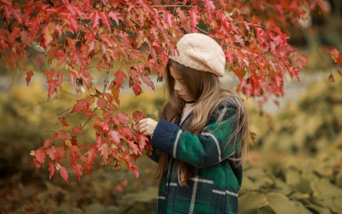 Осень вступает в права: синоптики рассказали ярославцам, когда испортится погода