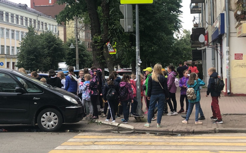 Ввели дистант: о первой волне ковида в школах Ярославля рассказали власти