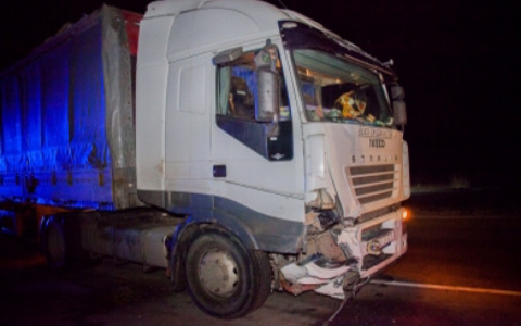 Два трупа: подробности аварии с кабанами под Ярославлем