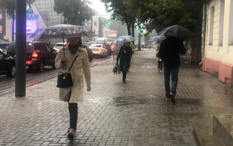 Шторм надвигается на Ярославль: экстренное предупреждение МЧС