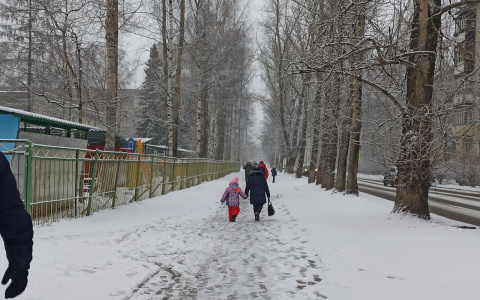 Ярославцев предупредили о сильных морозах зимой