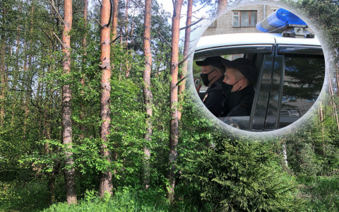 Забили до смерти и бросили: ярославец взял брата и подругу на убийство