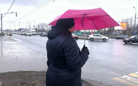 Зима напомнит о себе: синоптики рассказали об ультраполярном вторжении холода